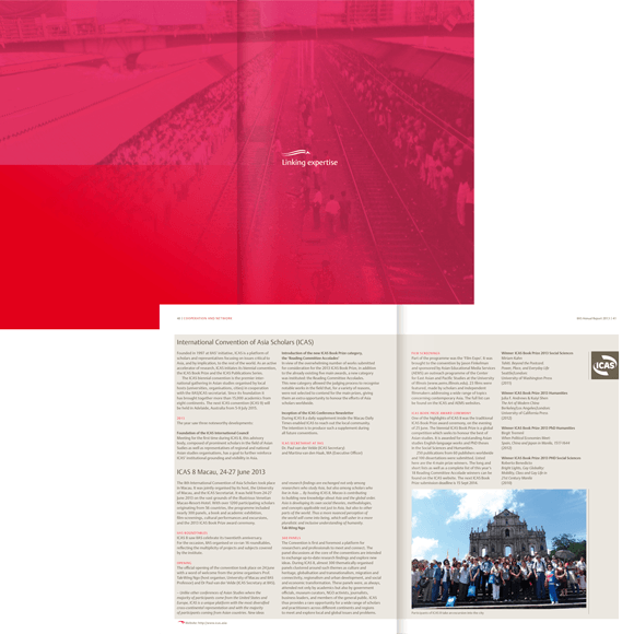 IIAS Annual Report 2013